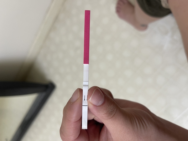 Home Pregnancy Test