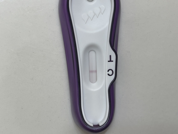 Home Pregnancy Test