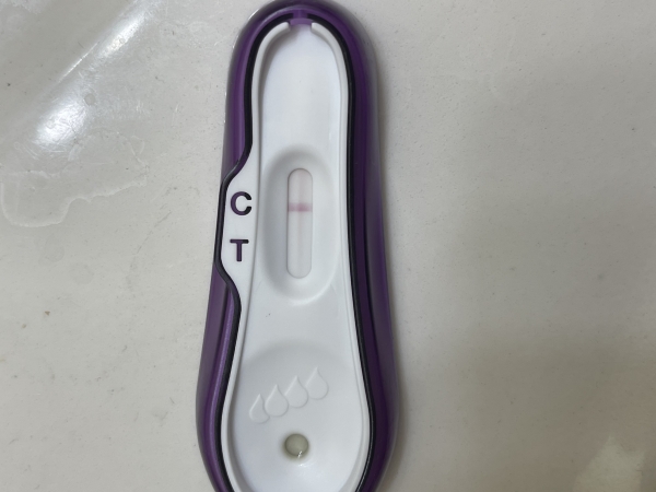 Home Pregnancy Test