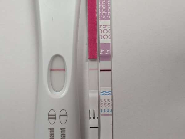 Home Pregnancy Test