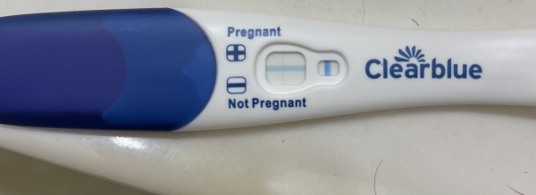 Home Pregnancy Test