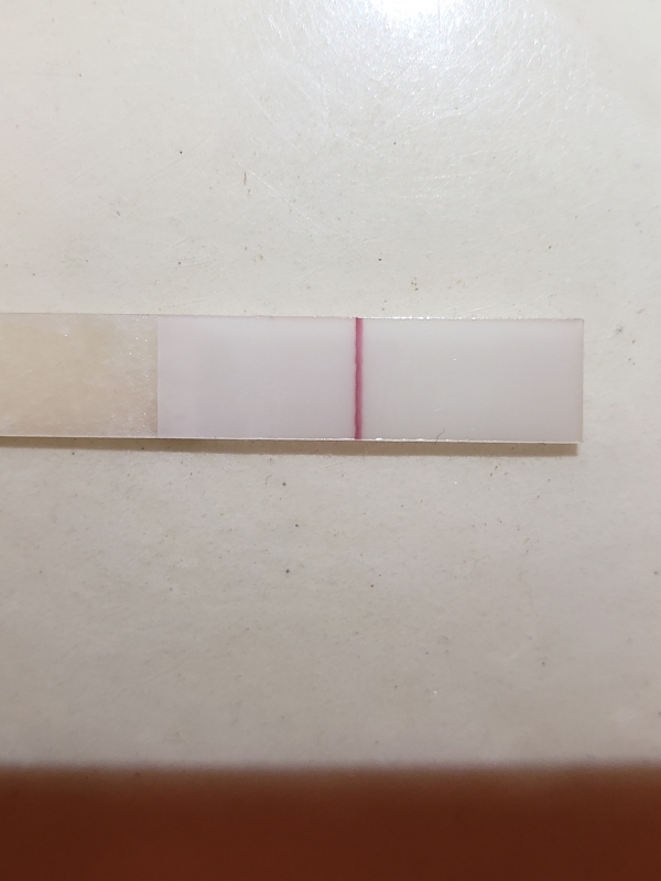 First Response Early Pregnancy Test, 14 Days Post Ovulation