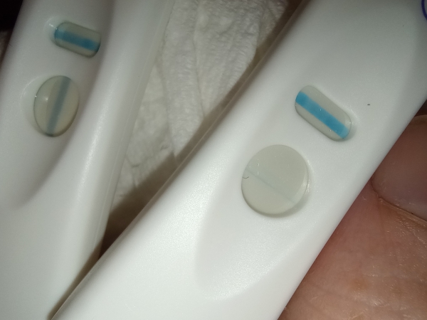 Equate One Step Pregnancy Test, Cycle Day 40