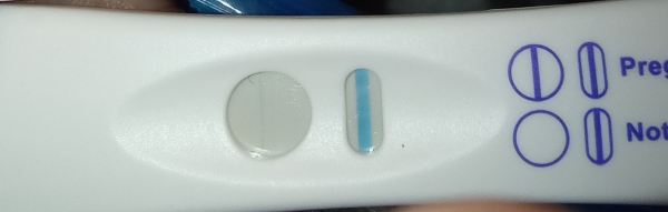 Equate One Step Pregnancy Test, Cycle Day 40