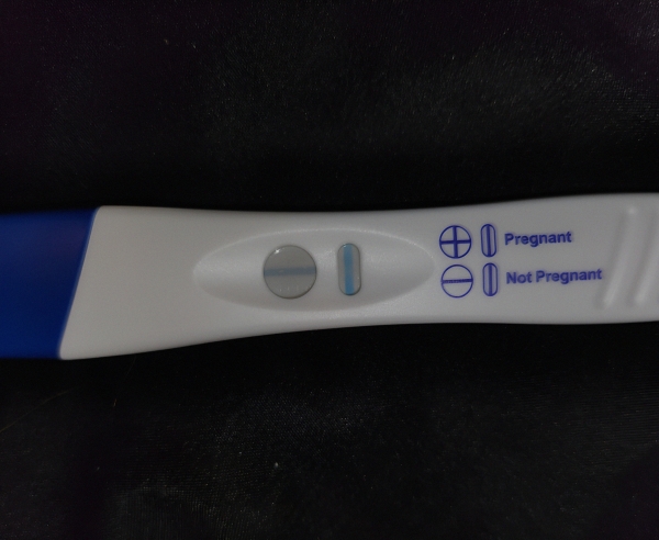 Home Pregnancy Test