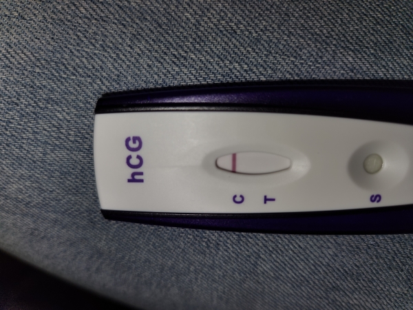 Home Pregnancy Test