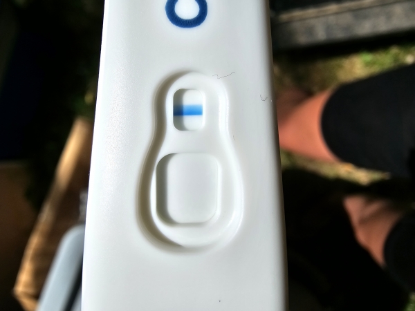 Clearblue Plus Pregnancy Test, 8 Days Post Ovulation, Cycle Day 24