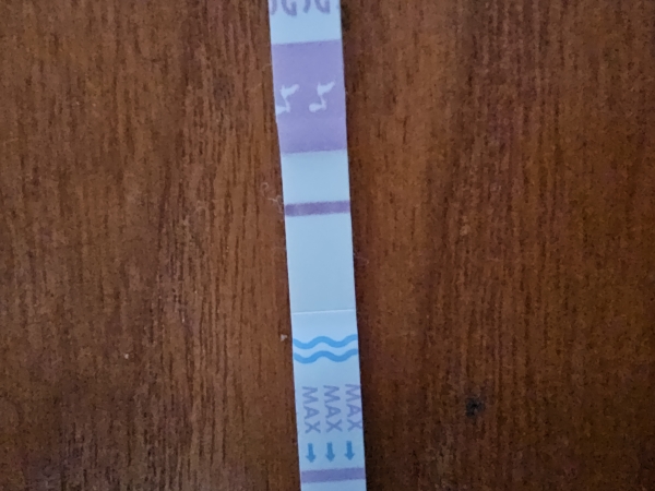 Generic Pregnancy Test, 6 Days Post Ovulation, FMU, Cycle Day 20