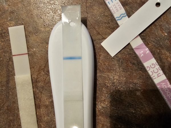 Clearblue Plus Pregnancy Test, 11 Days Post Ovulation, FMU, Cycle Day 25