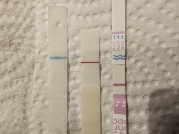 Generic Pregnancy Test, 11 Days Post Ovulation, FMU, Cycle Day 25