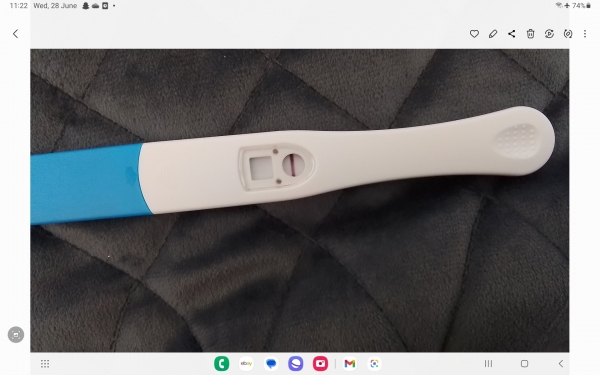Home Pregnancy Test