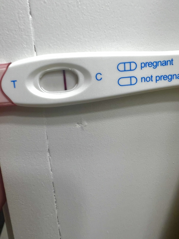 Home Pregnancy Test