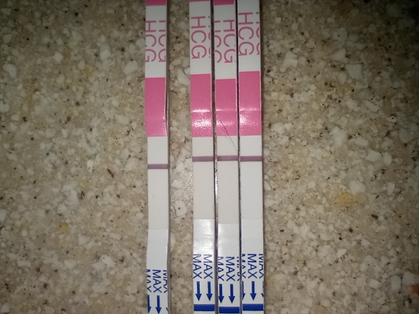 Clinical Guard Pregnancy Test, FMU