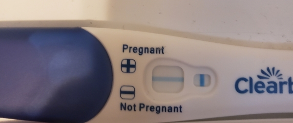 Home Pregnancy Test