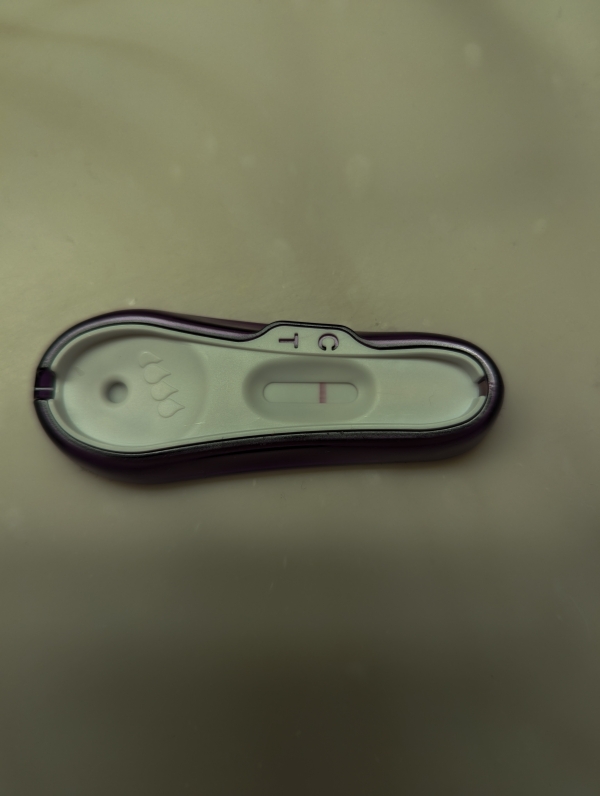 Equate One Step Pregnancy Test, 17 Days Post Ovulation, FMU, Cycle Day 42