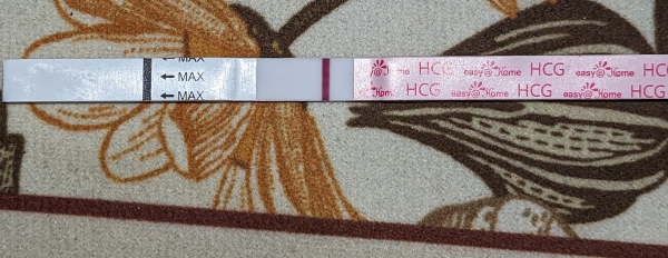 Home Pregnancy Test