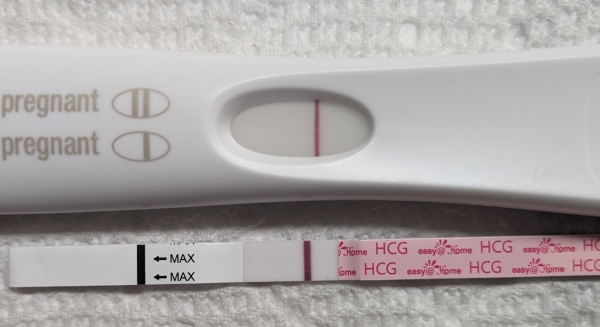 Home Pregnancy Test