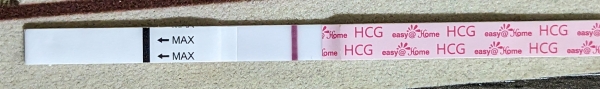 Home Pregnancy Test