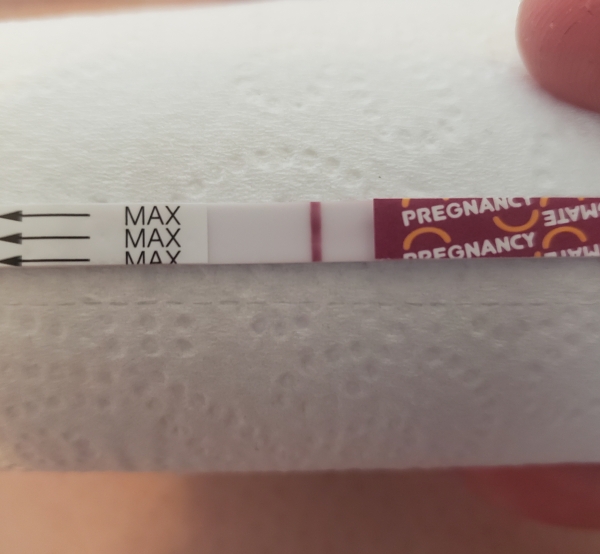 Home Pregnancy Test