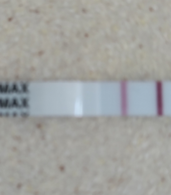 Clinical Guard Pregnancy Test, 15 Days Post Ovulation, FMU