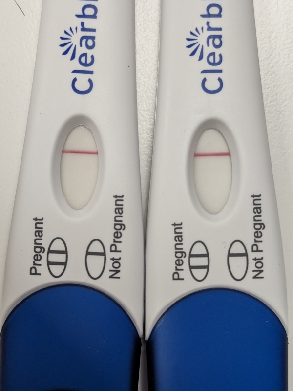 Home Pregnancy Test