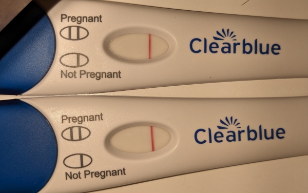 Home Pregnancy Test