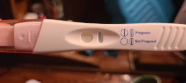 Equate One Step Pregnancy Test