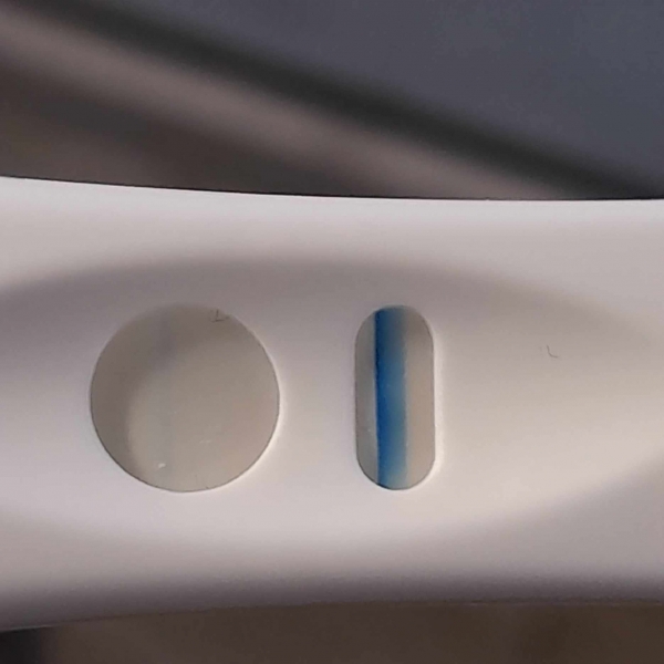 Home Pregnancy Test