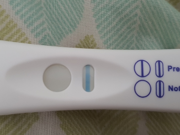 Equate One Step Pregnancy Test, 13 Days Post Ovulation, Cycle Day 27