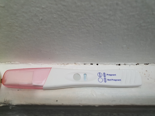 Equate Pregnancy Test, 14 Days Post Ovulation, Cycle Day 28