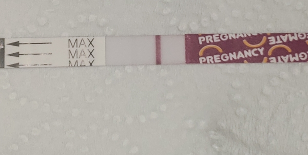 Home Pregnancy Test