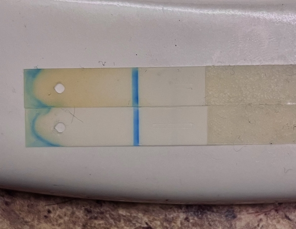 CVS One Step Pregnancy Test, 11 Days Post Ovulation