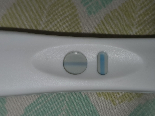 Home Pregnancy Test