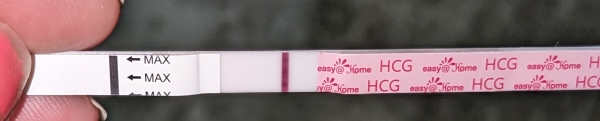 Home Pregnancy Test