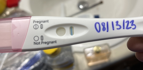 Home Pregnancy Test