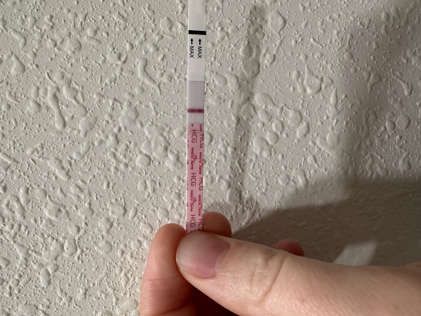 Generic Pregnancy Test, 10 Days Post Ovulation, FMU, Cycle Day 29