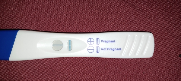 Home Pregnancy Test