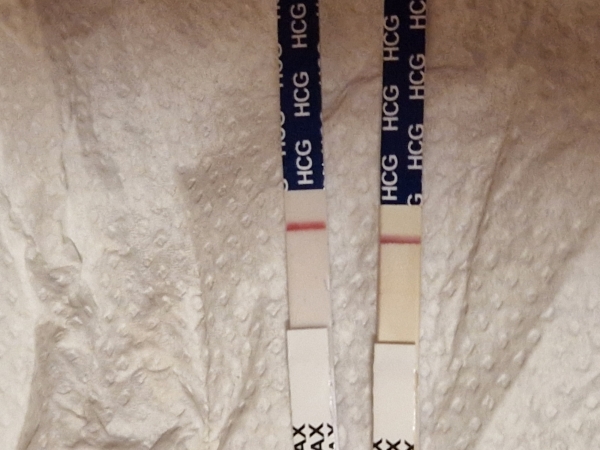 Easy-At-Home Pregnancy Test, 18 Days Post Ovulation, Cycle Day 20