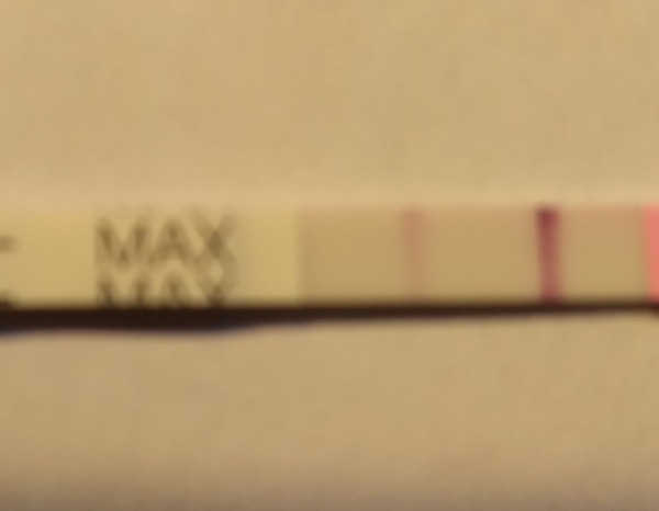 Home Pregnancy Test, 16 Days Post Ovulation, FMU