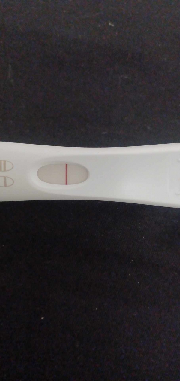 Home Pregnancy Test