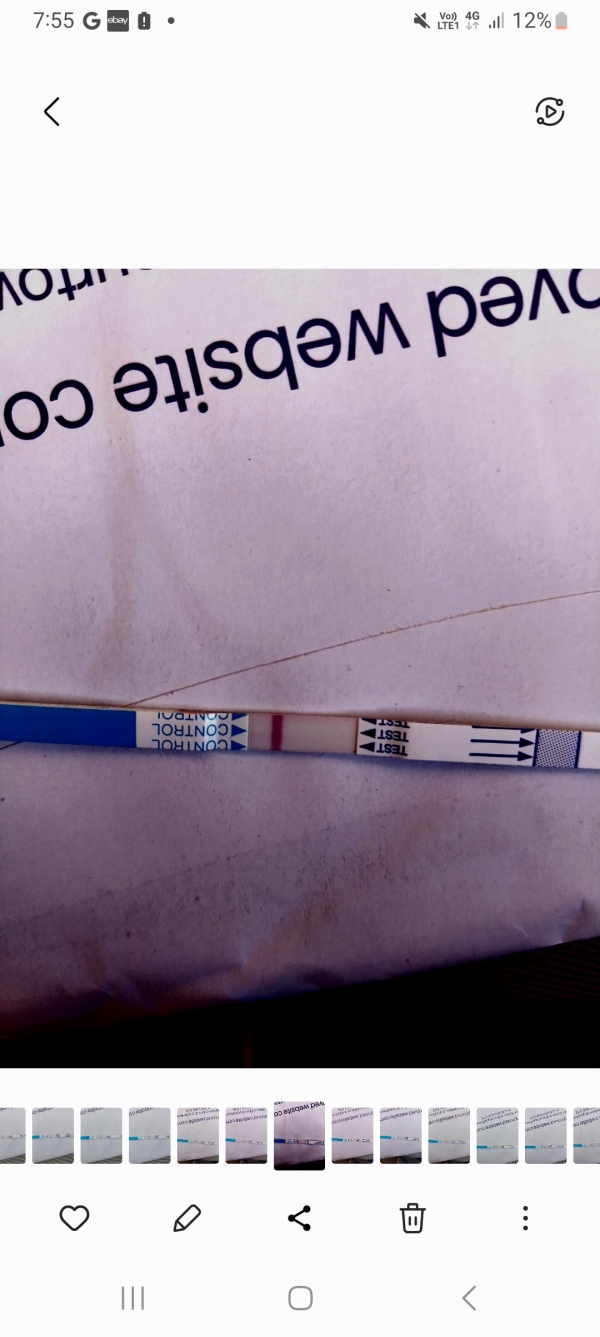 Home Pregnancy Test