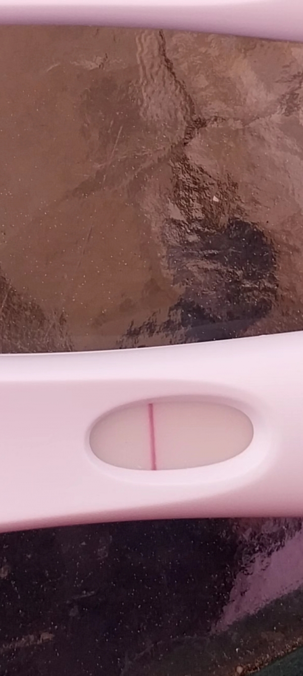 Home Pregnancy Test