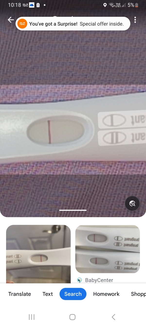 Home Pregnancy Test