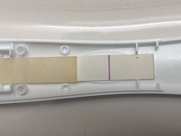 First Response Early Pregnancy Test, 8 Days Post Ovulation