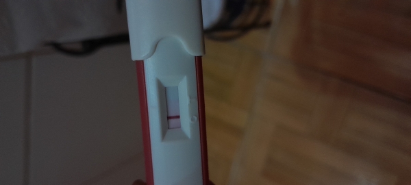 Home Pregnancy Test, 14 Days Post Ovulation, Cycle Day 29