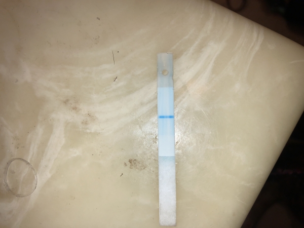 Home Pregnancy Test, Cycle Day 32