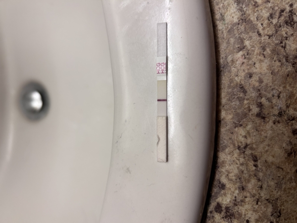 Home Pregnancy Test