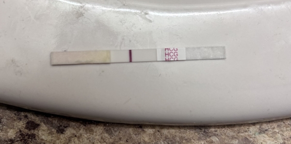 Home Pregnancy Test