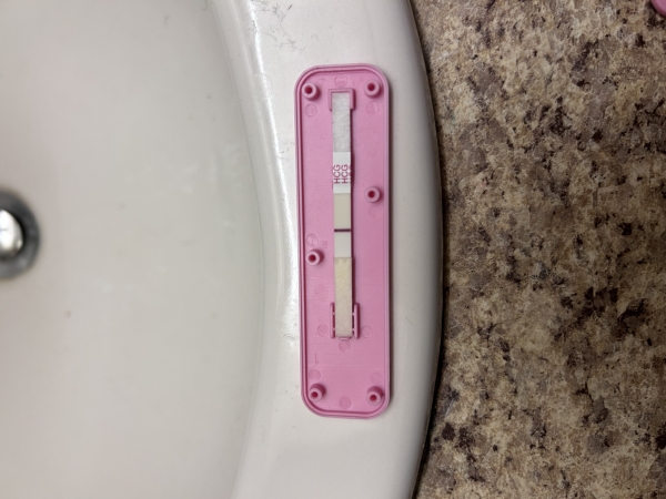 Home Pregnancy Test