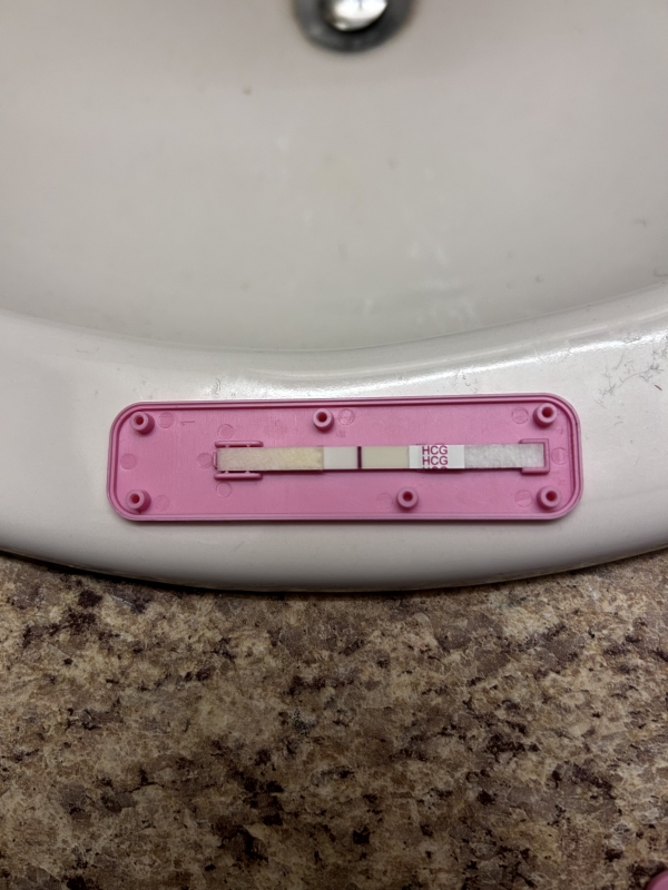 Home Pregnancy Test